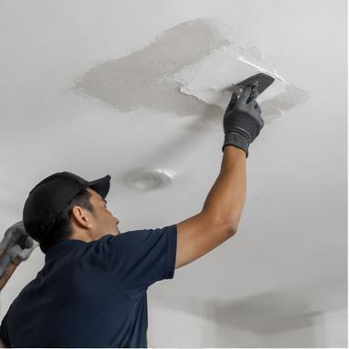 Ceiling Repair
